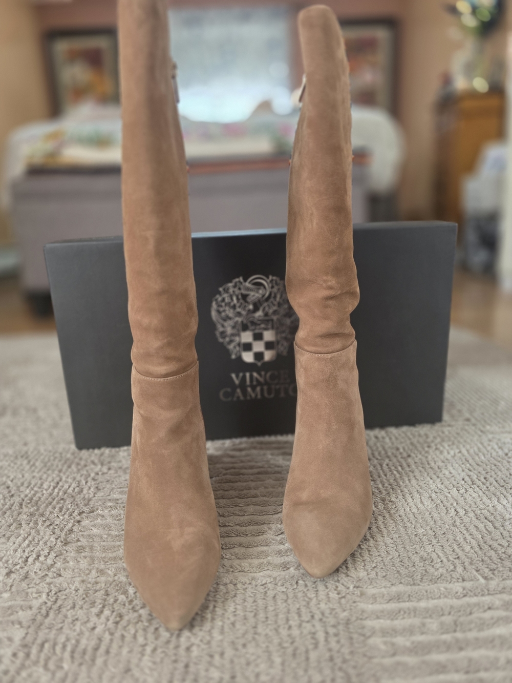 Vince Camuto Women's Suede Knee Boots in Taupe